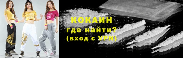 дживик Абинск