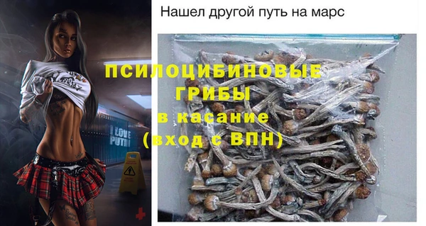 дживик Абинск