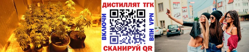 ТГК THC oil гидра вход Советский