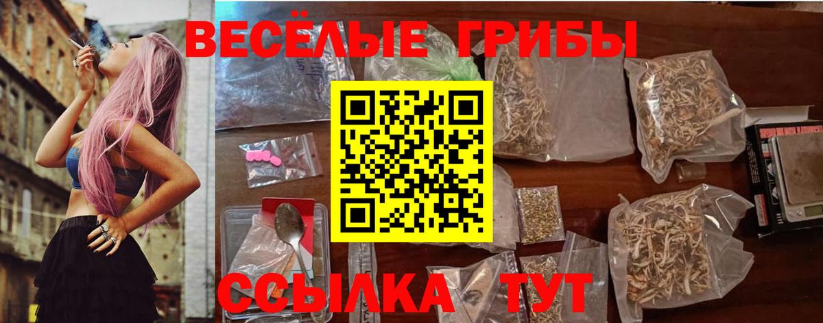 Галлюциногенные грибы GOLDEN TEACHER  Вход с VPN  Советский  Псилоцибиновые грибы MAGIC MUSHROOMS 